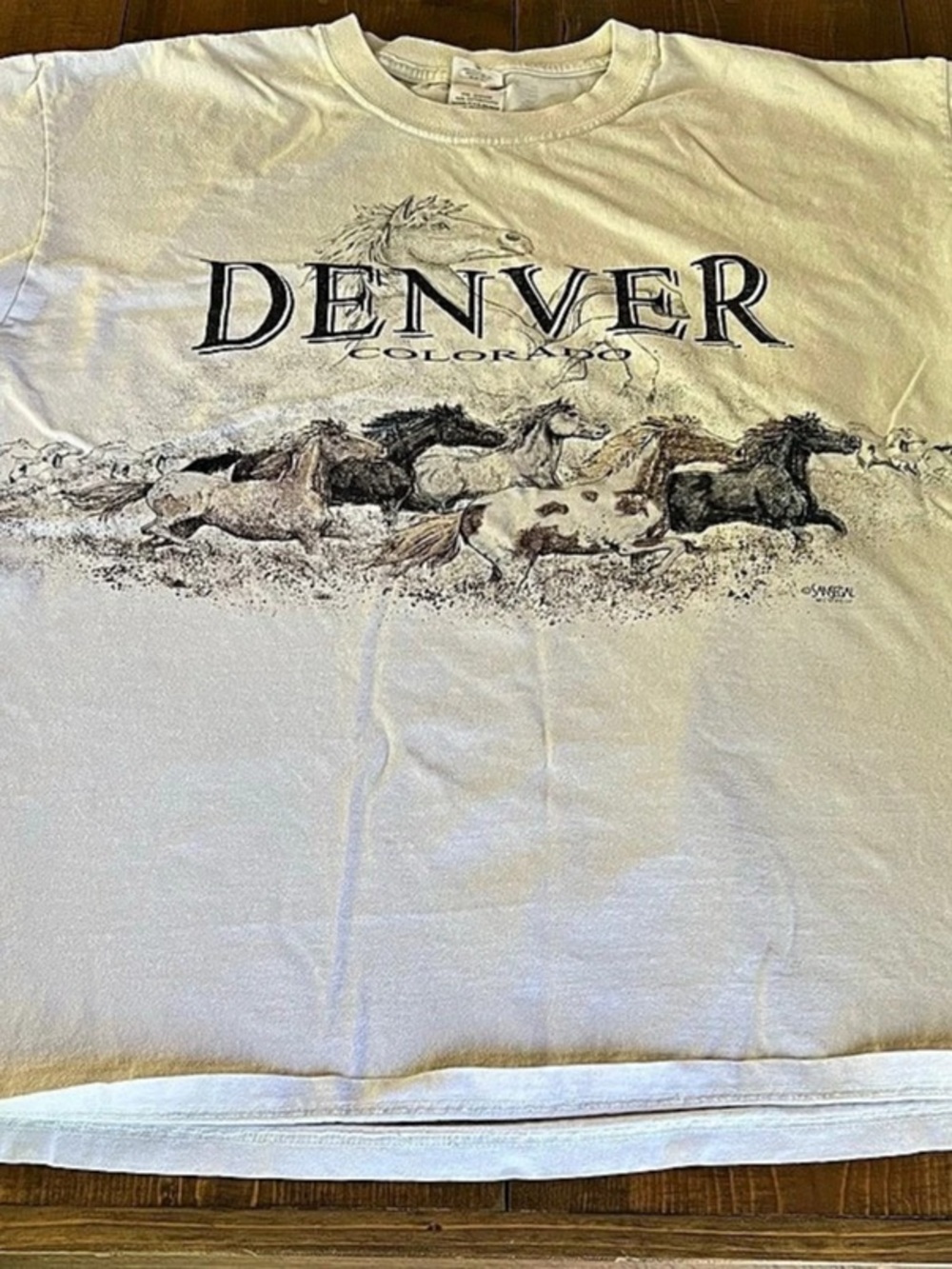Anvil Denver Colorado Sansegal Horse Graphic T-Shirt Tee White & Brown XL